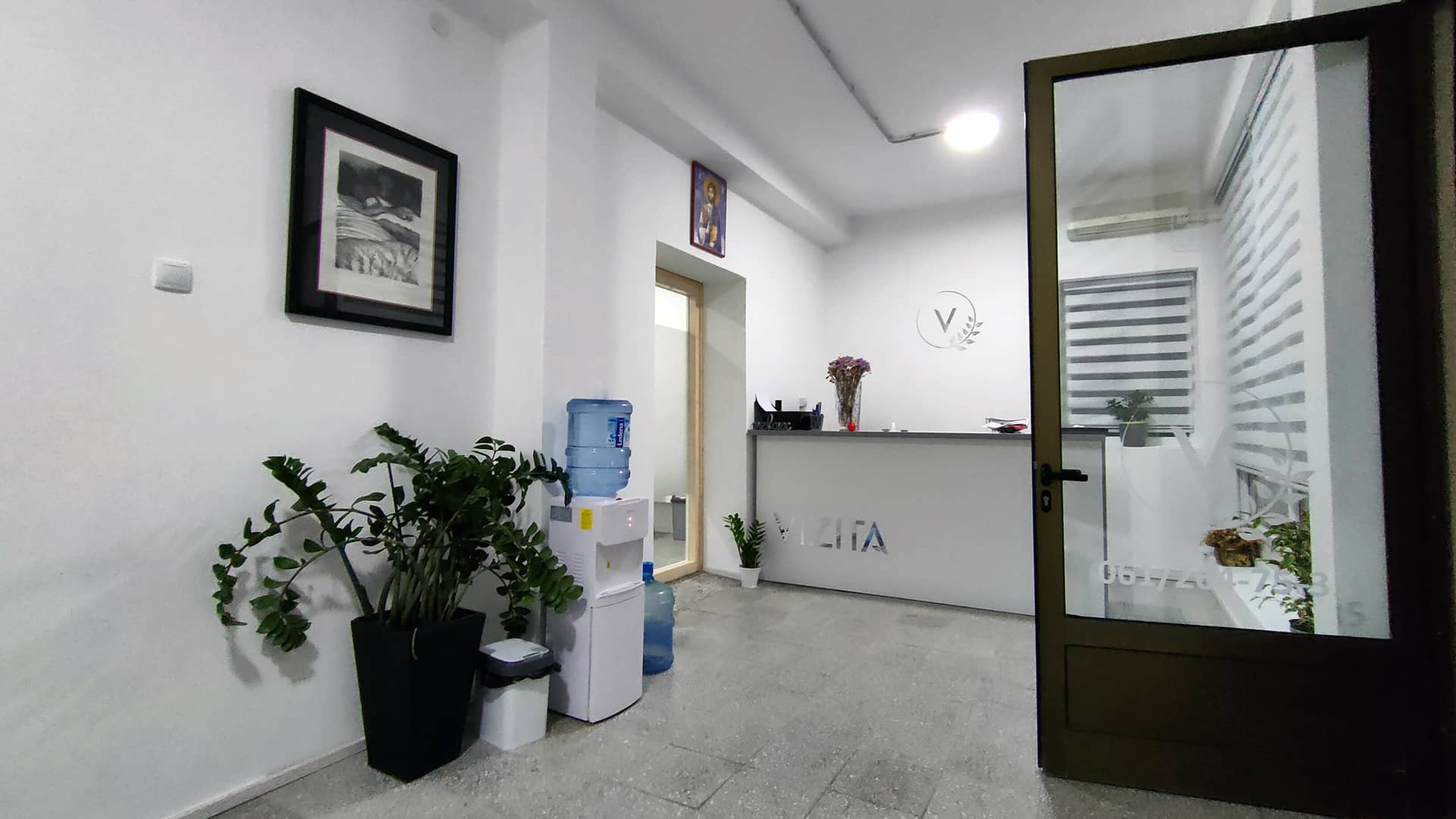 Vizita